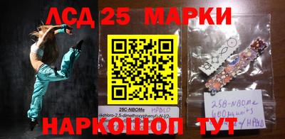 МДПВ Кандалакша